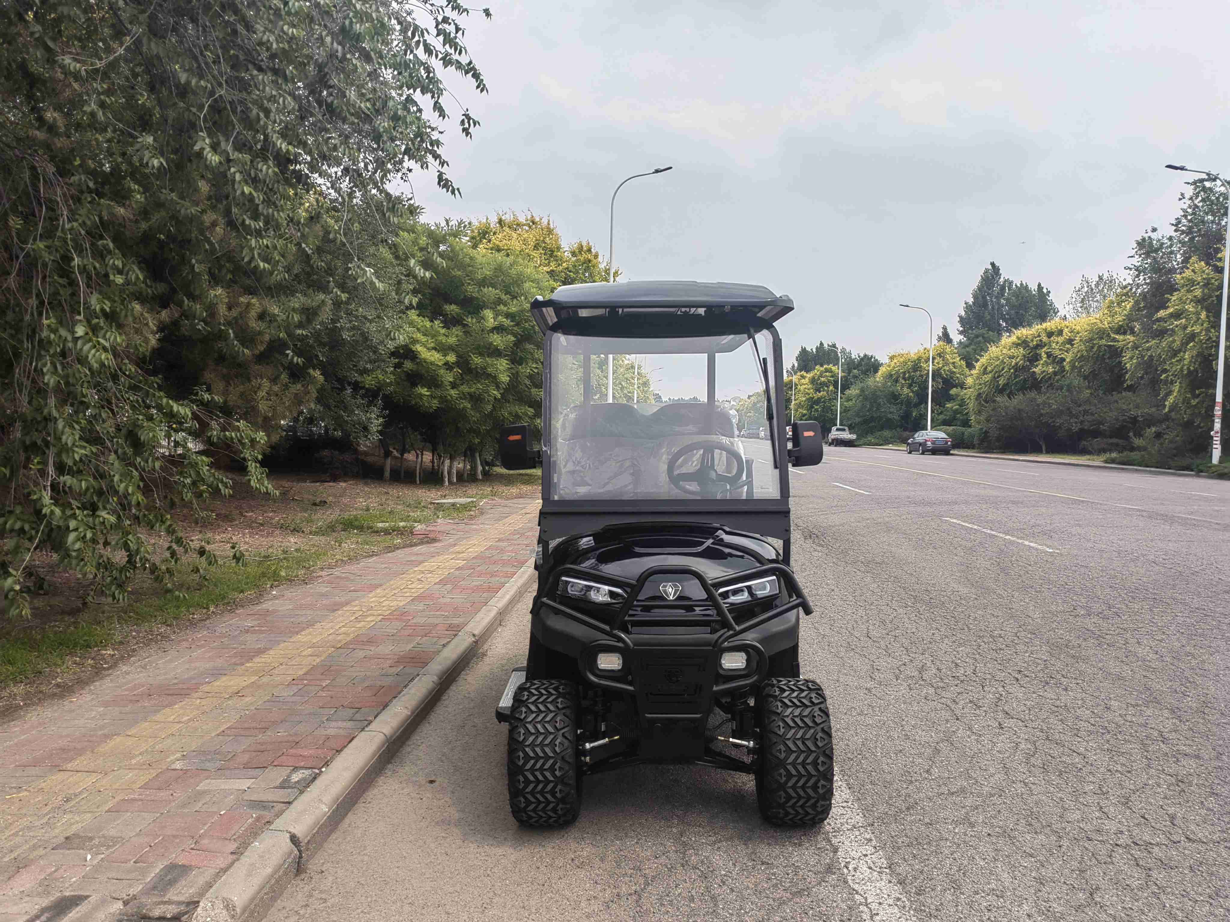 golf cart 1 (291).jpg